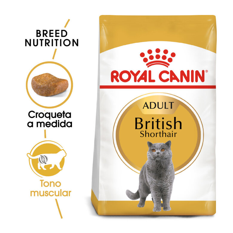 Royal Canin Adult British Shorthair ração para gatos, , large image number null